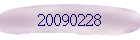 20090228