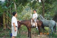 Thumb009.jpg (71027 bytes)