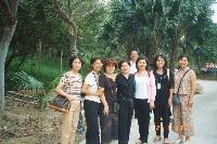 Thumb011.jpg (65503 bytes)