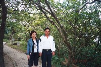 AA033.jpg (83572 bytes)