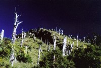 Thumb003.jpg (85015 bytes)