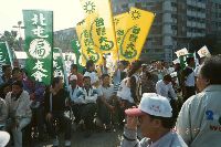 Thumb012.jpg (43625 bytes)