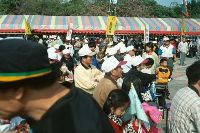 Thumb026.jpg (46404 bytes)