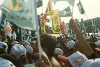 Thumb031.jpg (35471 bytes)