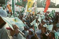 Thumb038.jpg (45410 bytes)