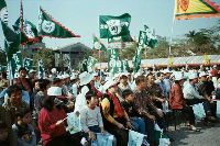 Thumb041.jpg (52616 bytes)