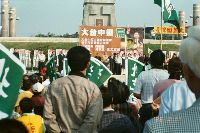 Thumb048.jpg (41721 bytes)