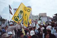 Thumb013.jpg (57081 bytes)