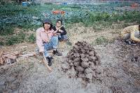 Thumb005.jpg (89817 bytes)