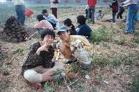 Thumb018.jpg (88136 bytes)