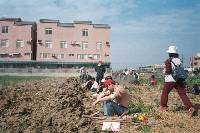 Thumb020.jpg (73831 bytes)