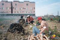 Thumb026.jpg (73152 bytes)