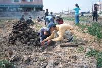 Thumb028.jpg (91410 bytes)