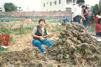 Thumb049.jpg (94768 bytes)