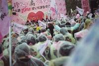 Thumb006.jpg (56703 bytes)