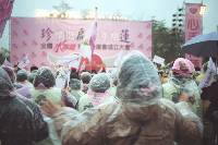 Thumb007.jpg (50568 bytes)