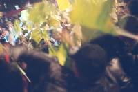 Thumb024.jpg (38164 bytes)