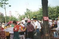 Thumb024.jpg (71013 bytes)