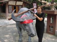 Thumb027.jpg (62323 bytes)