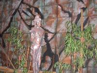 Thumb035.jpg (81561 bytes)