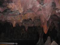 Thumb036.jpg (48932 bytes)