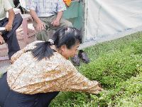 DSC05747.JPG (161881 bytes)