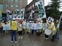 c (5).JPG (169168 bytes)