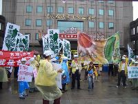 c (10).JPG (169031 bytes)