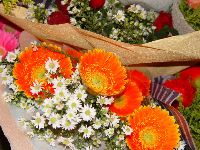 DSC06617.JPG (164096 bytes)