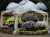 CIMG1697.JPG (146273 bytes)