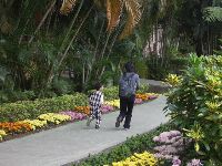 CIMG1759.JPG (152733 bytes)