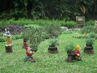 CIMG1804.JPG (177804 bytes)