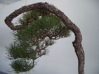 CIMG1842.JPG (106816 bytes)