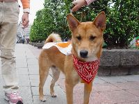 DSC06870.JPG (146127 bytes)