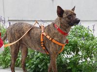 DSC07006.JPG (135446 bytes)