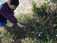 CIMG2421.JPG (183864 bytes)