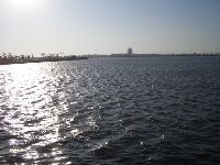 CIMG2450.JPG (103938 bytes)