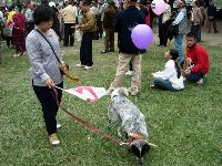 0326_03.JPG (171065 bytes)