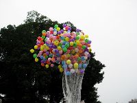 0326_25.JPG (88863 bytes)