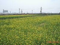 0109_057.JPG (169654 bytes)