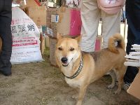 0514_044.JPG (64857 bytes)