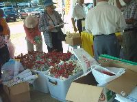 0514_137.JPG (120959 bytes)