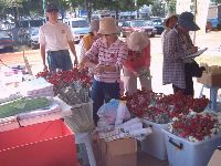 0514_138.JPG (130876 bytes)