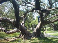 0514_162.JPG (180010 bytes)