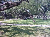 0514_163.JPG (181307 bytes)