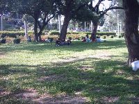 0514_165.JPG (173471 bytes)