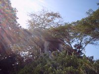 0514_167.JPG (122055 bytes)