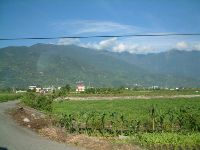 1117_050.JPG (89579 bytes)
