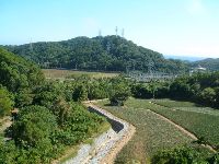 1117_065.JPG (136290 bytes)