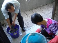 0120_030.JPG (110903 bytes)